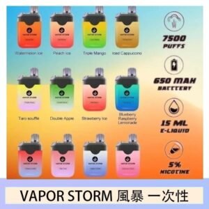 Vapor Storm風暴電子煙7500口(5%)一次性